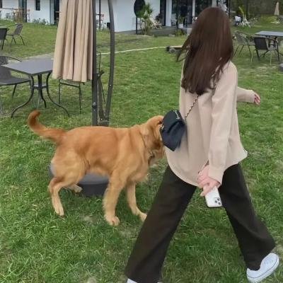 食人狂