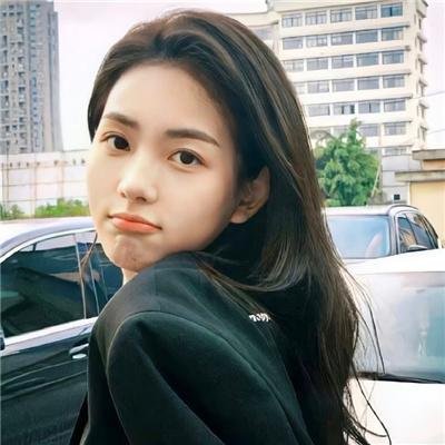 托梅斯的导盲犬